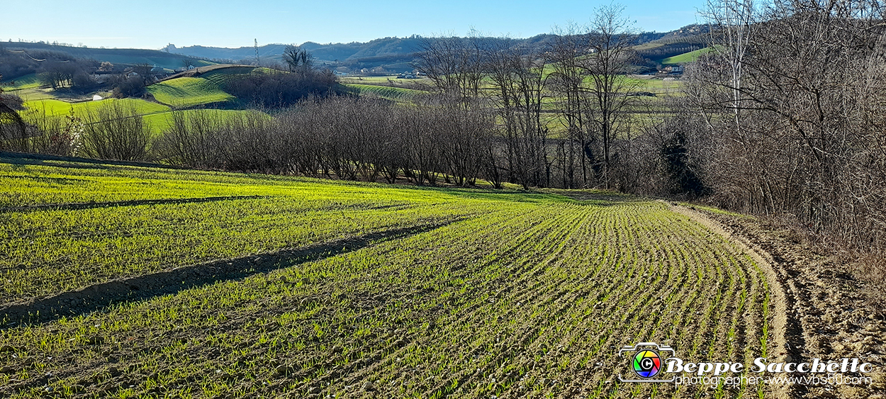 20230110_151712 - Dalla terra... il grano.jpg
